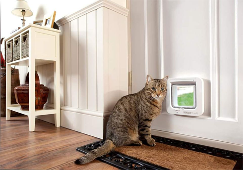 
    Upvc DoorsWith Catflaps
