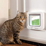 Door with cat and catflap