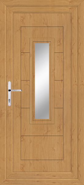 Irish Oak Montrose Clear/Pattern Upvc Back Door
